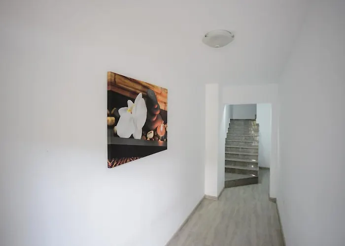 ゲストハウス Irish エフォリエ・ノルド